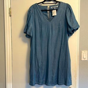 Denim pocketed dress with puffed out short sleeves (bell like)